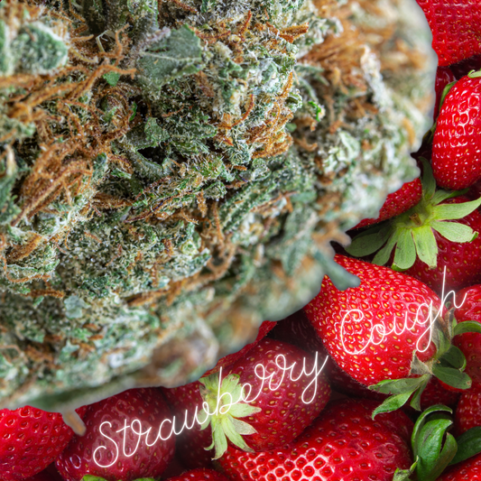 THCa - Strawberry Cough