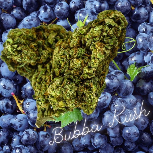 CBD Flower - Bubba Kush